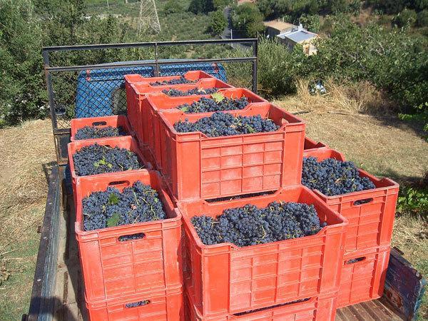 Agriturismo Parra Santa Lucia del Mela Экстерьер фото
